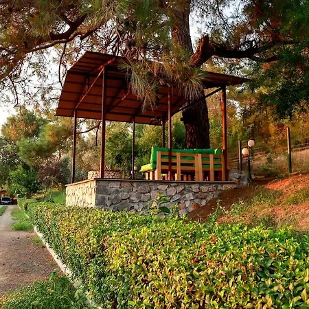 Narya, Peaceful In The Forest Lejlighed
